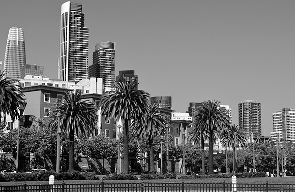 DSC_0011