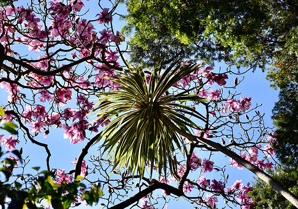DSC_0042