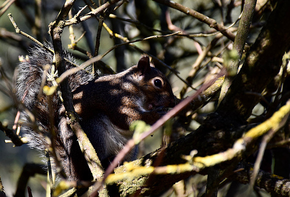 DSC_0072