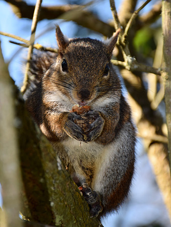 DSC_0079