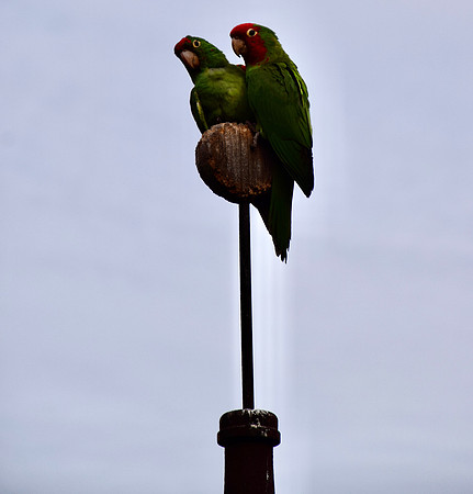 DSC_0191