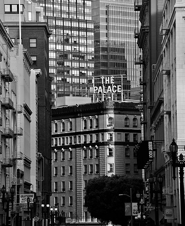 DSC_0113