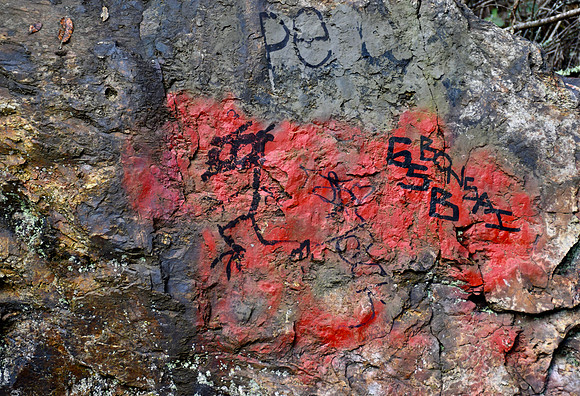 DSC_0017