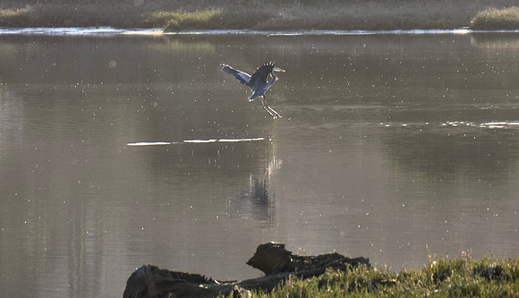 DSC_0075