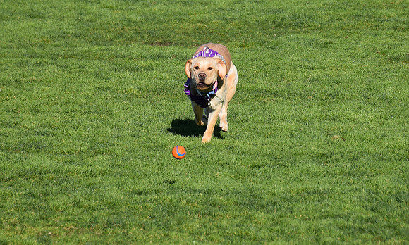 DSC_0073