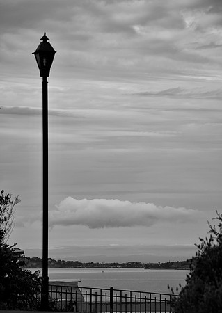 DSC_0035