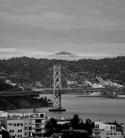 DSC_0042