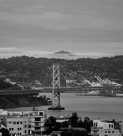 DSC_0042