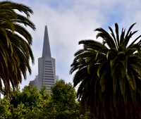DSC_0017