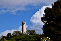 Coit Tower