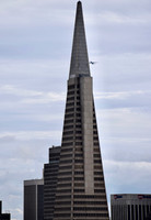 DSC_0025