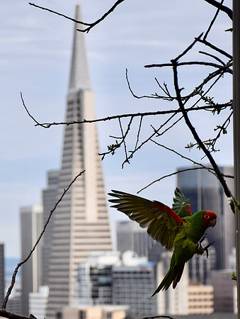 DSC_0355