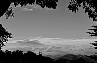 DSC_0010 (2)