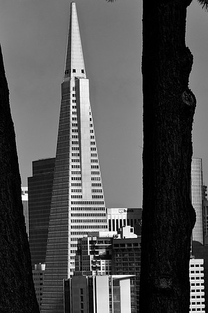 DSC_0388