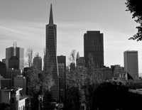 DSC_0028