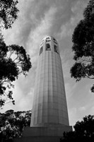 DSC_0091