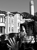 DSC_0078 (1)