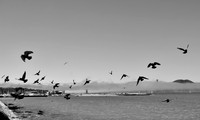 DSC_0009