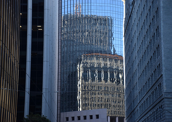 DSC_0109