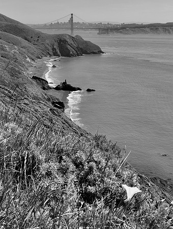 DSC_0013