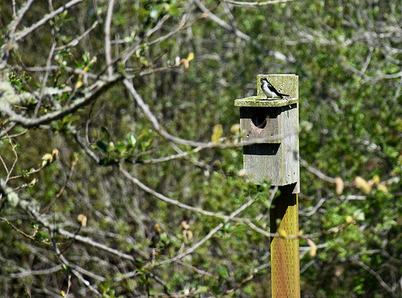 DSC_0075