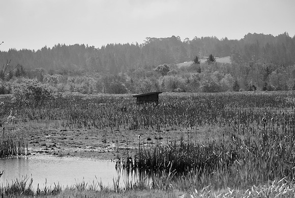DSC_0081