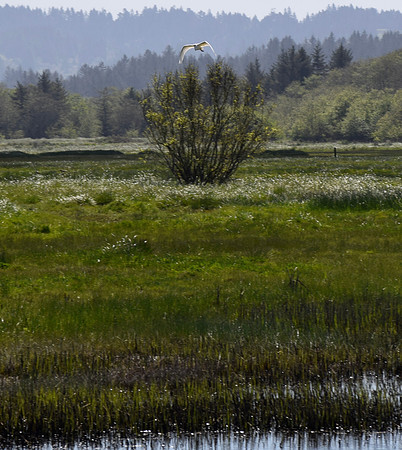 DSC_0114