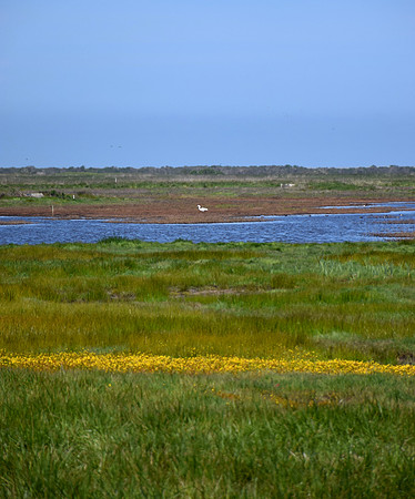 DSC_0111