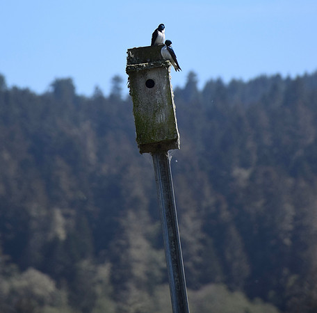 DSC_0172