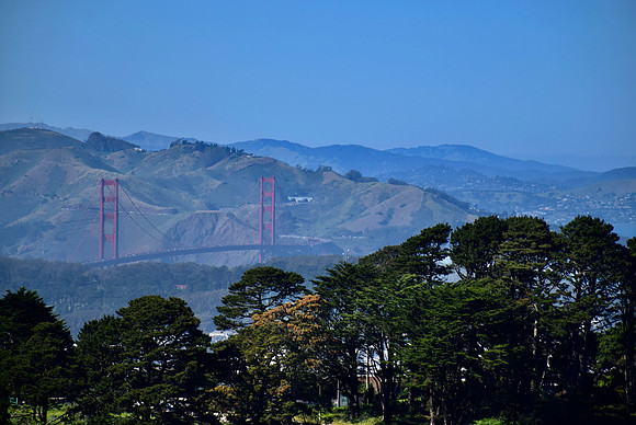 DSC_0054