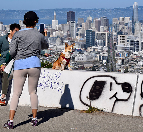 DSC_0060