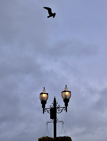 DSC_0287
