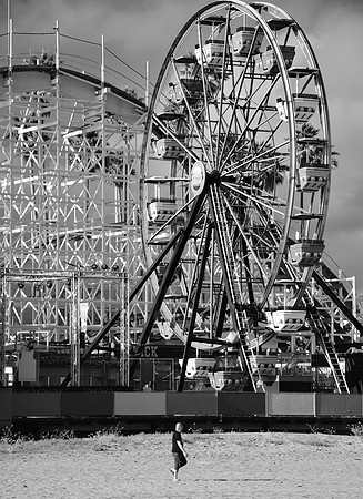 DSC_0384