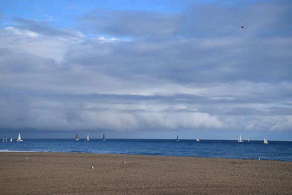 DSC_0404