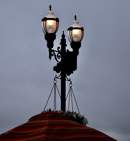 DSC_0289