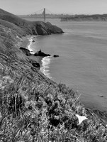 DSC_0013