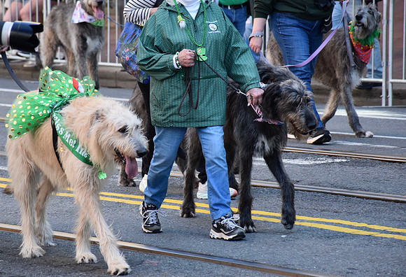 DSC_0089