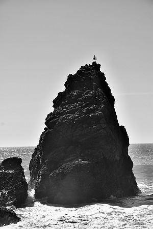 DSC_0088