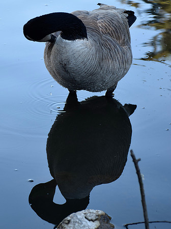DSC_0027