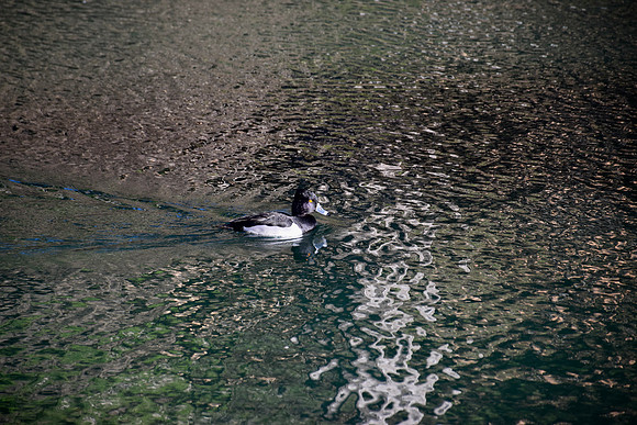 DSC_0052