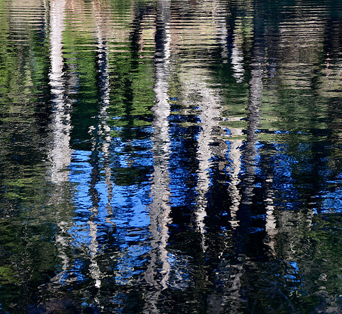 DSC_0098