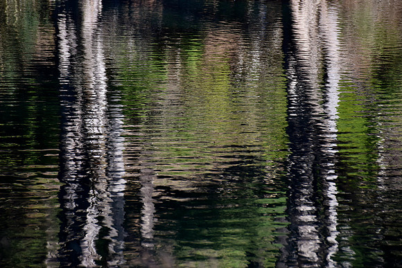 DSC_0099