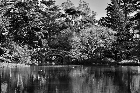 DSC_0100