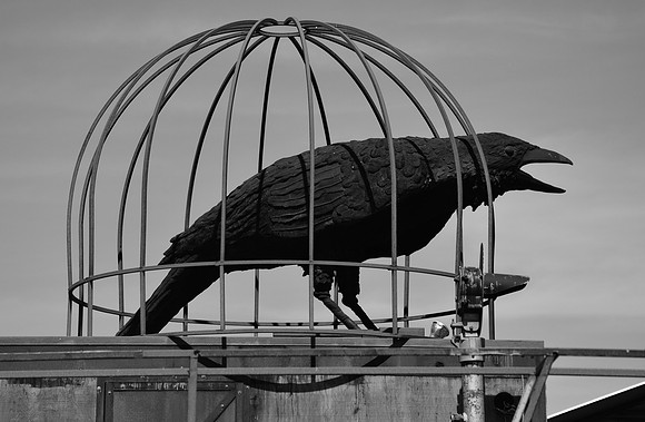 DSC_0013