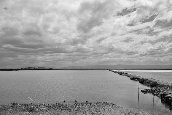 DSC_0018