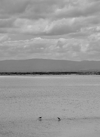 DSC_0037