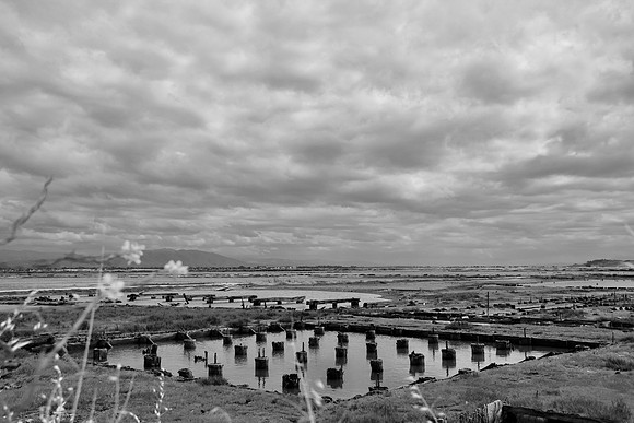 DSC_0068