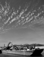 DSC_0050