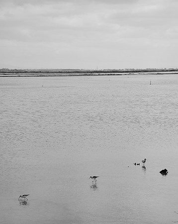 DSC_0056
