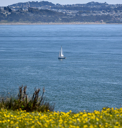 DSC_0039